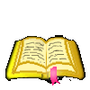 wörterbuch italienisch