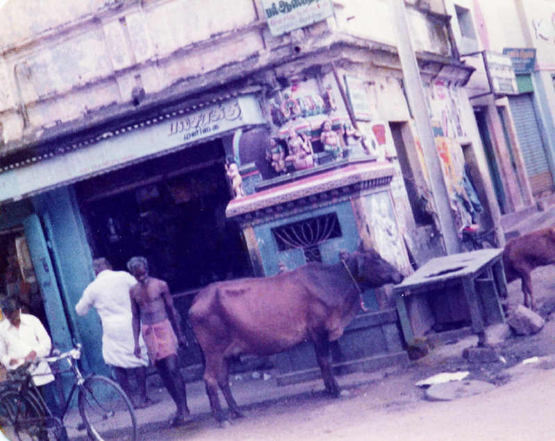 Madurai near temple